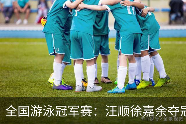 全国游泳冠军赛：汪顺徐嘉余夺冠 成绩将成亚运会选拔依据
